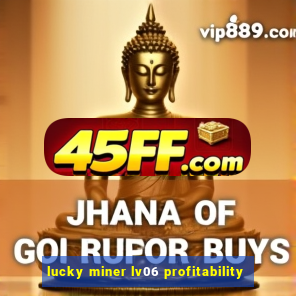 lucky miner lv06 profitability